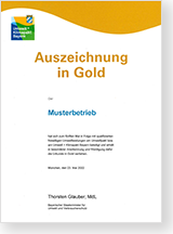 Gold-Urkunde Muster